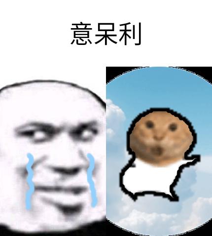 meme safe_sense